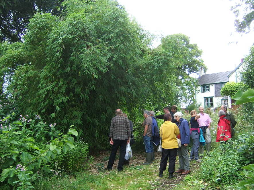 Borinda at Ness Botanical Gardens